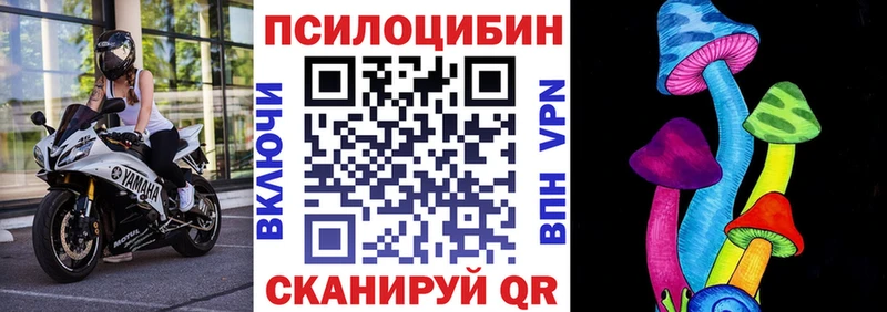 Псилоцибиновые грибы мицелий  Чекалин 